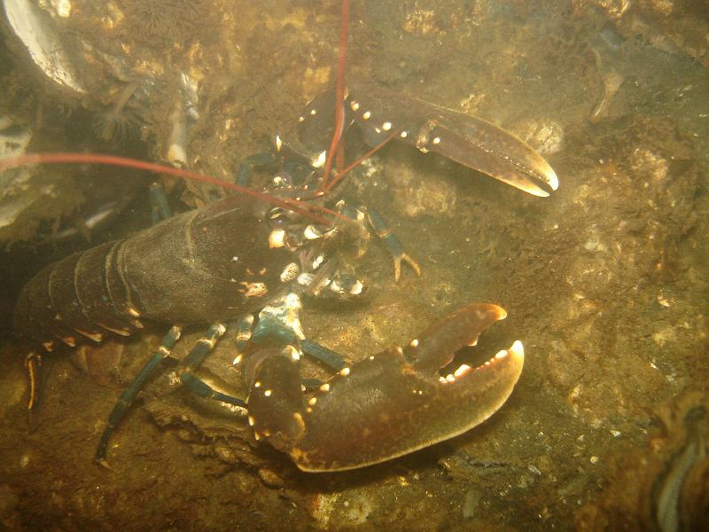06 ZL 029.JPG